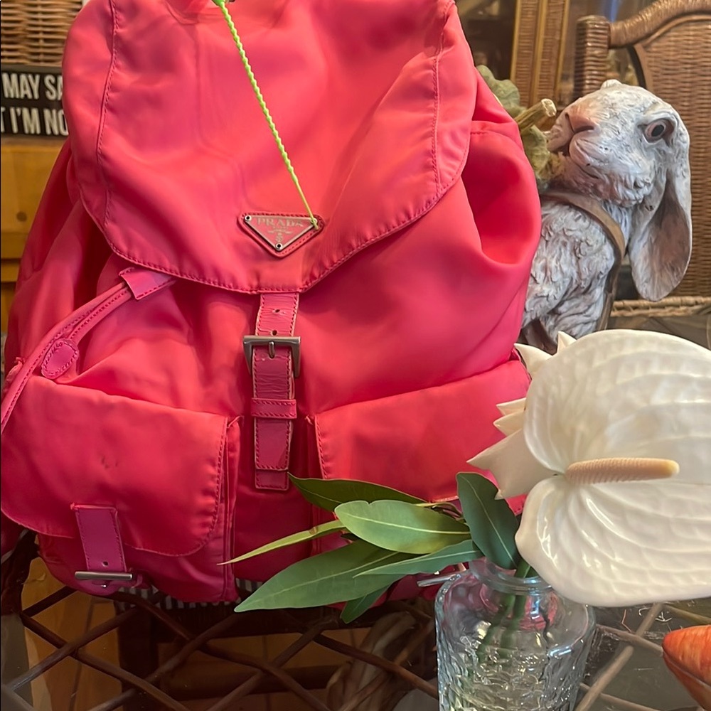 PRADA! CLOSET CLEAN Out purchased from bagriculture…. Authentic